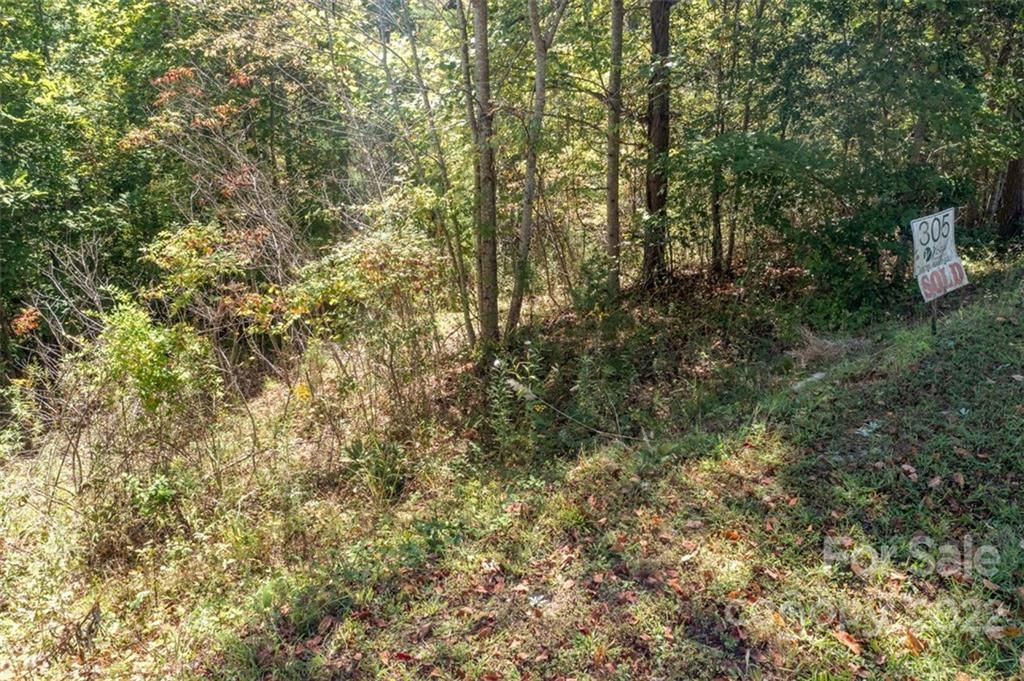 MLS #CAR3930901 image #0