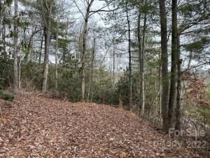 MLS #CAR3931191 image #1