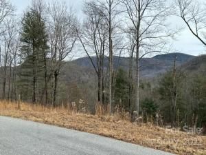 MLS #CAR3931191 image #2