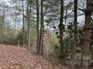 MLS #CAR3931191 image #3