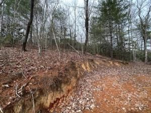 MLS #CAR3931191 image #5