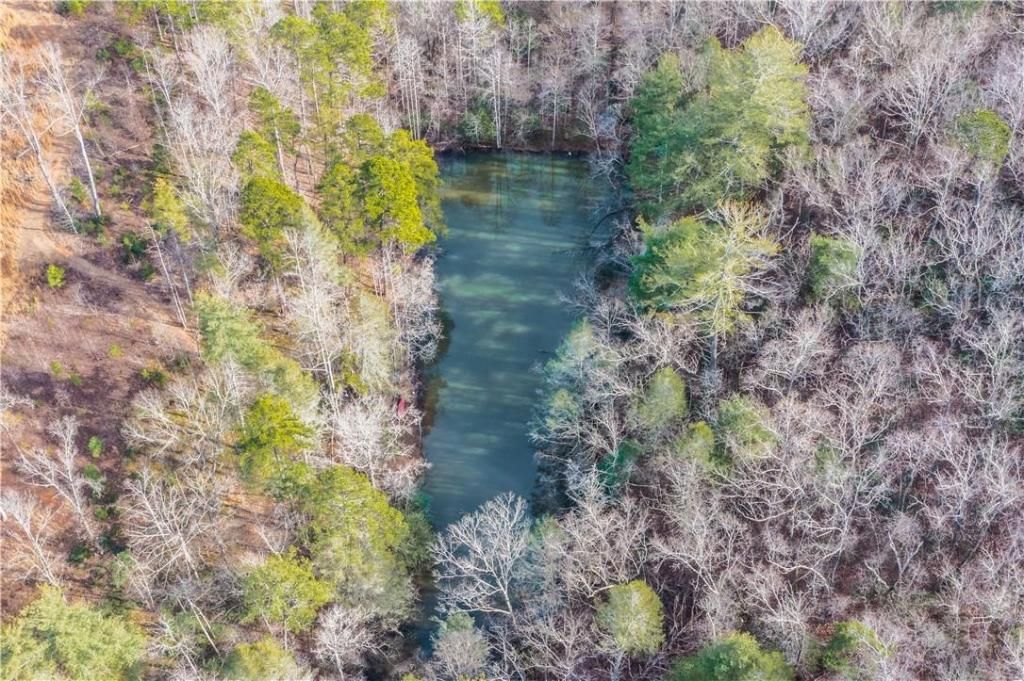 MLS #CAR3933328 image #3