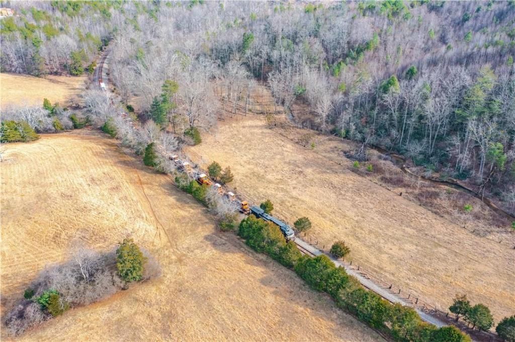 MLS #CAR3933328 image #5