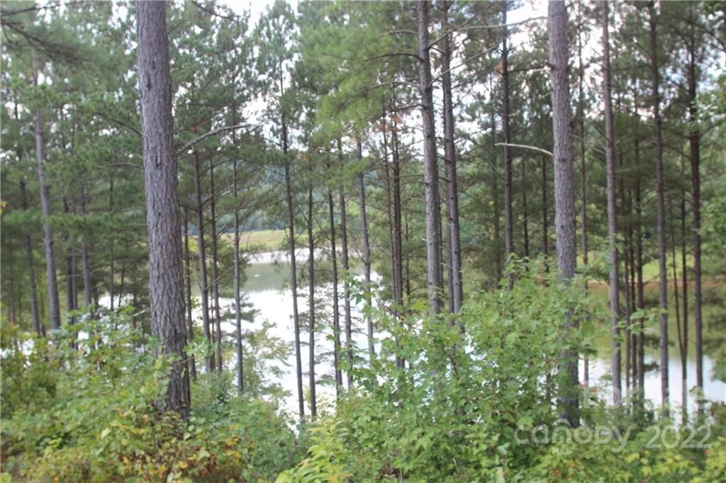 MLS #CAR3934140 image #10