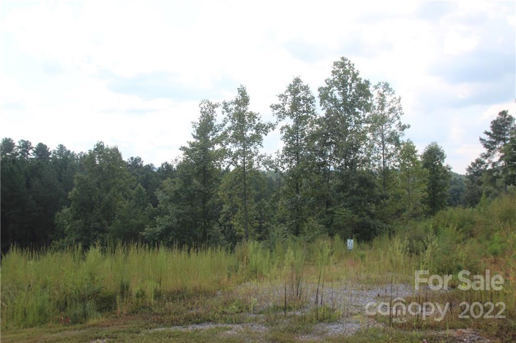 MLS #CAR3934140 image #12