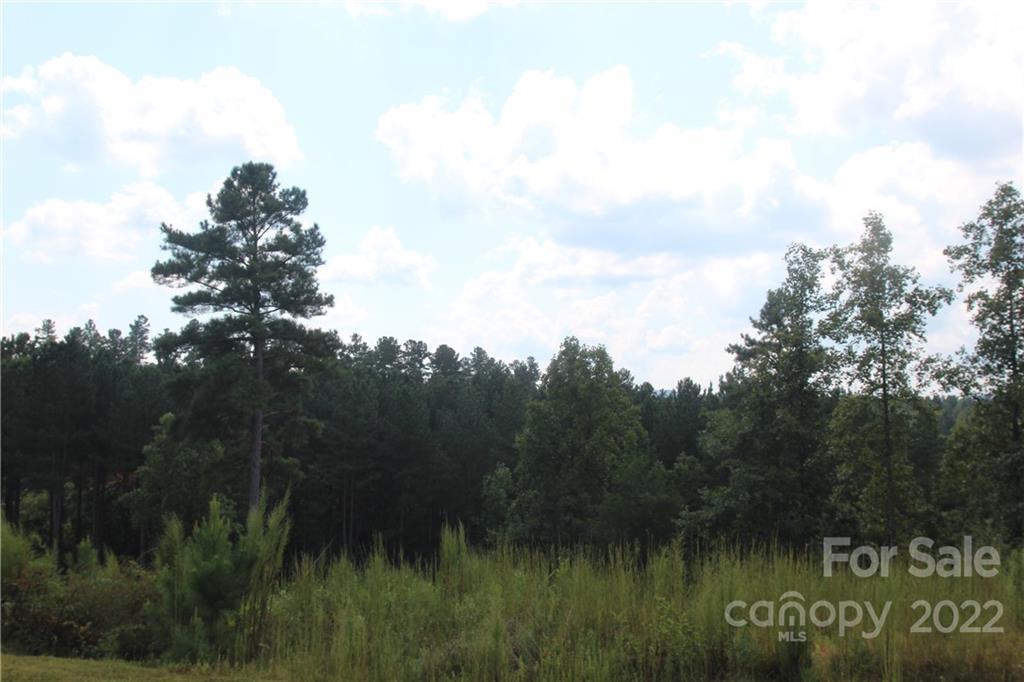 MLS #CAR3934140 image #2