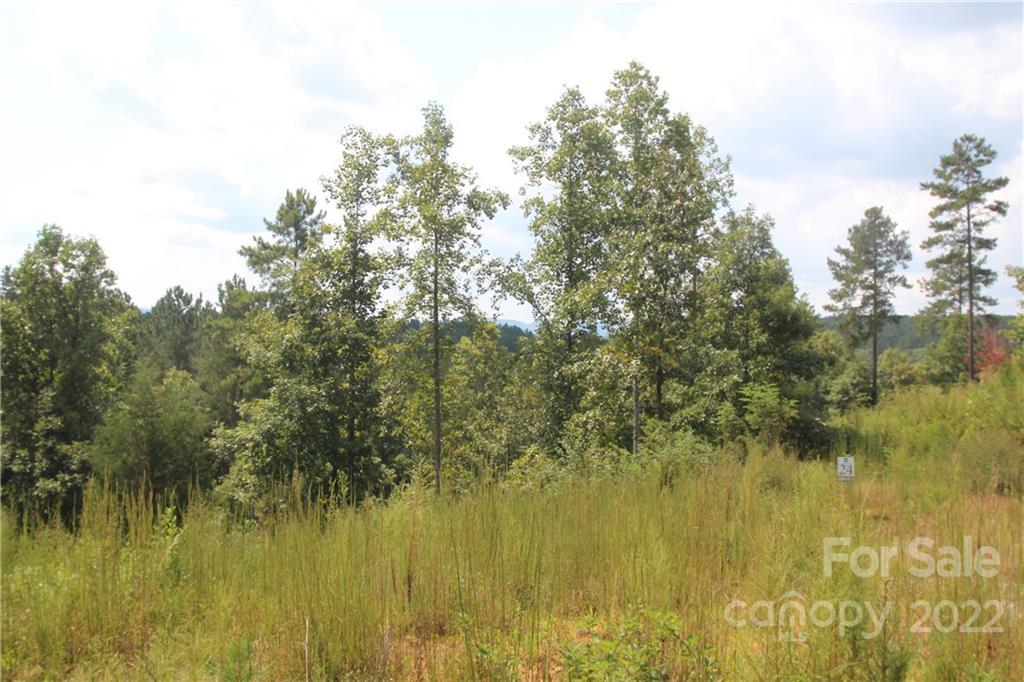 MLS #CAR3934140 image #7