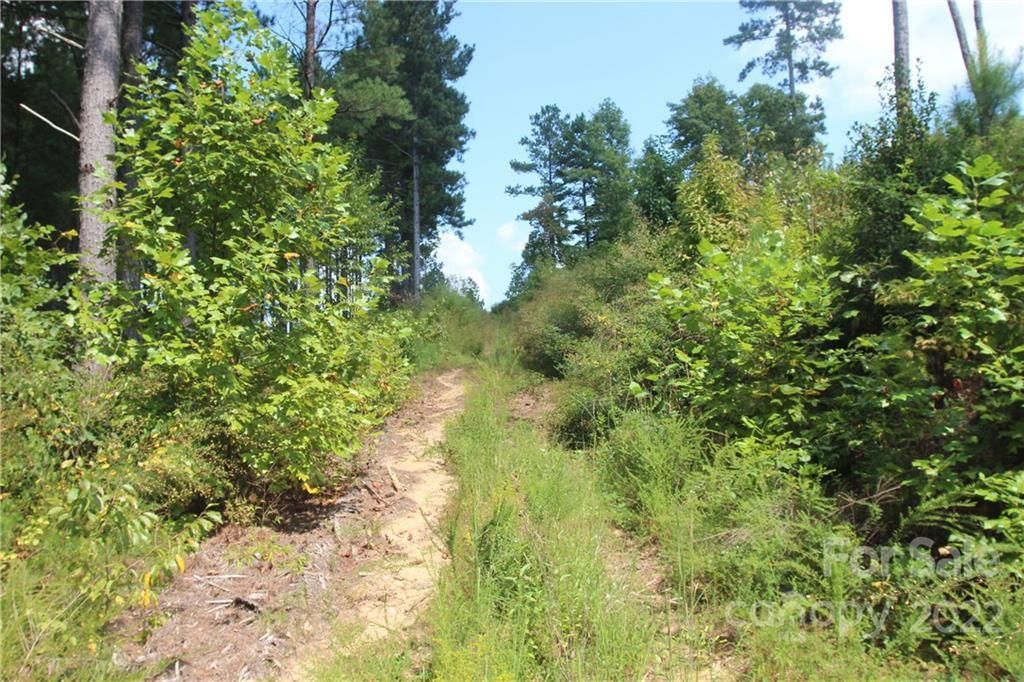 MLS #CAR3934140 image #9