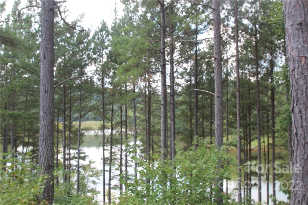 MLS #CAR3934141 image #9