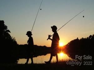 MLS #CAR3934831 image #2