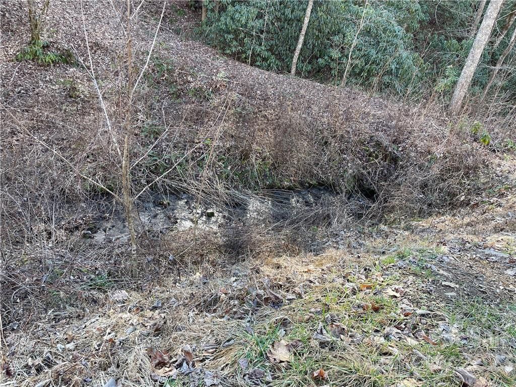 MLS #CAR3935223 image #13