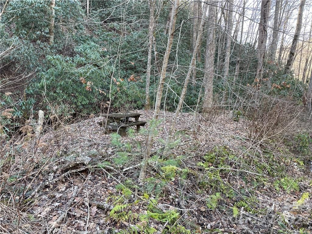 MLS #CAR3935223 image #14