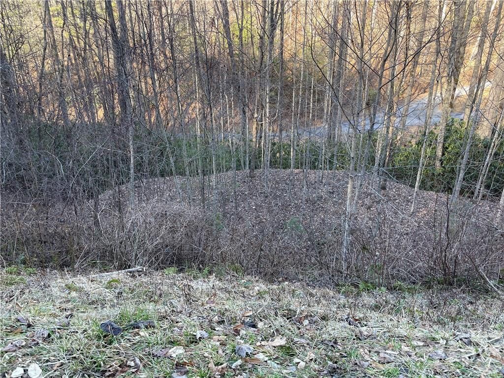 MLS #CAR3935223 image #15