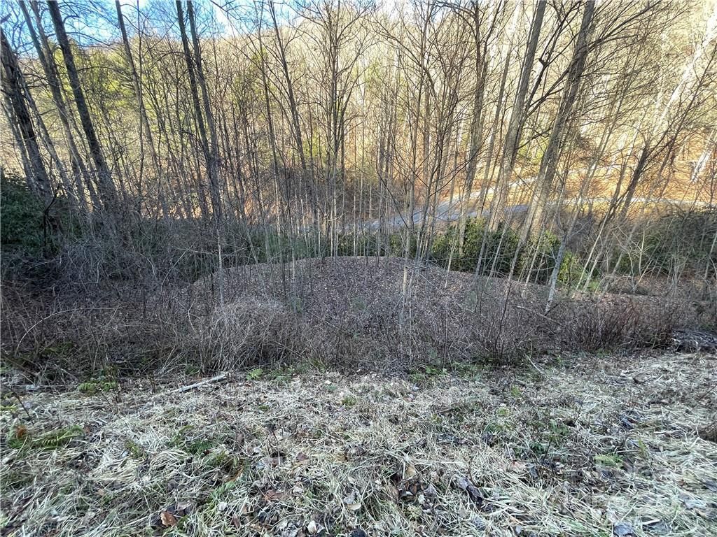 MLS #CAR3935223 image #16