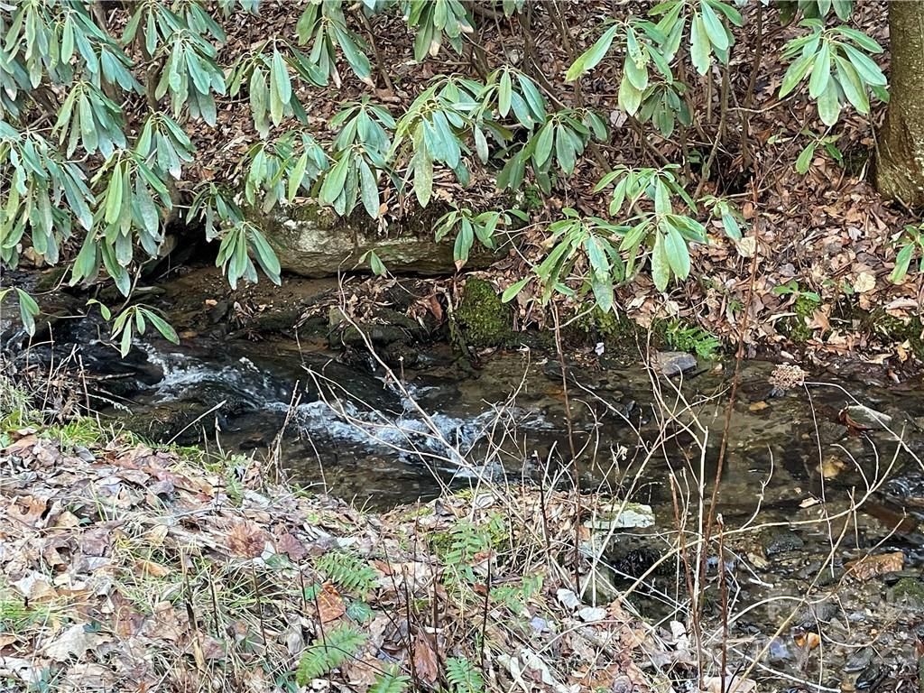 MLS #CAR3935223 image #18