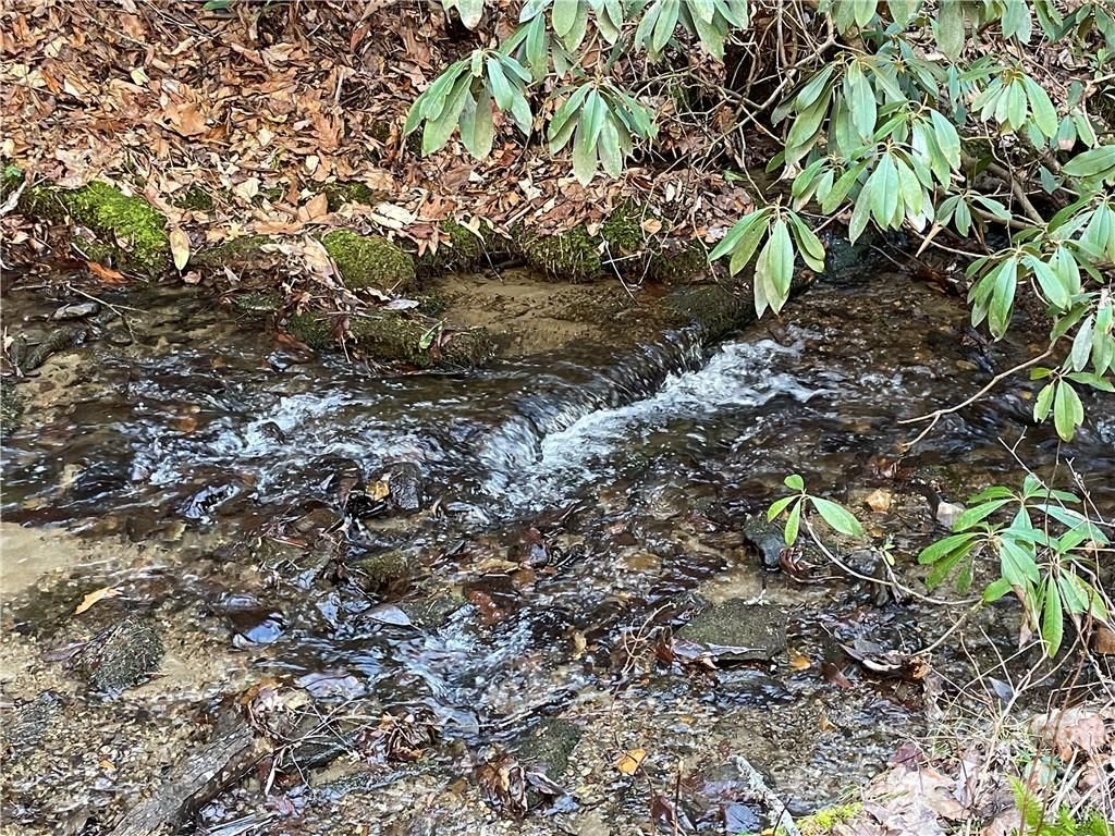 MLS #CAR3935223 image #19