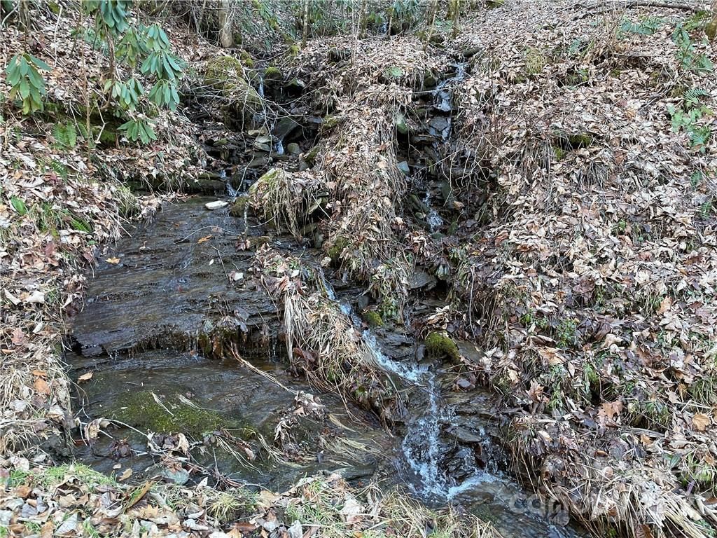 MLS #CAR3935223 image #21