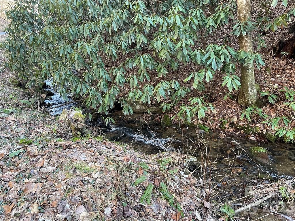 MLS #CAR3935223 image #4