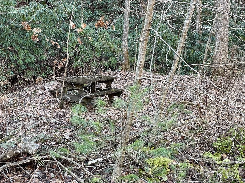 MLS #CAR3935223 image #5