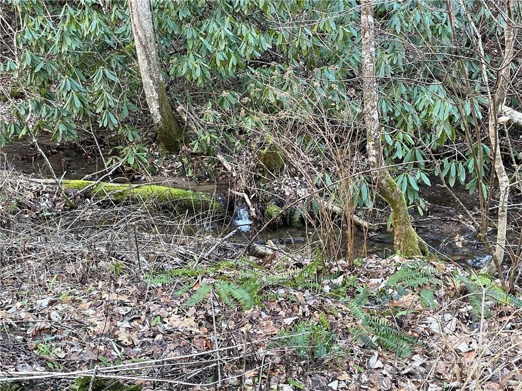 MLS #CAR3935223 image #7