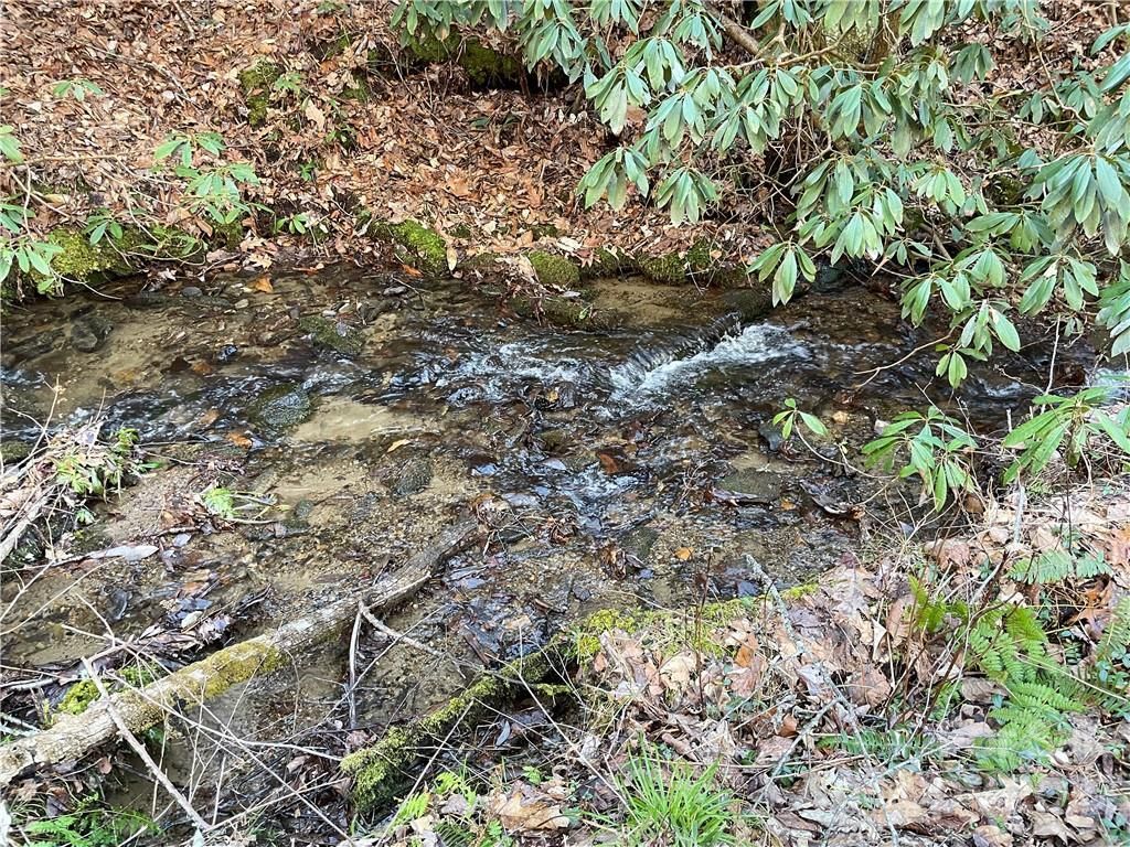 MLS #CAR3935223 image #8