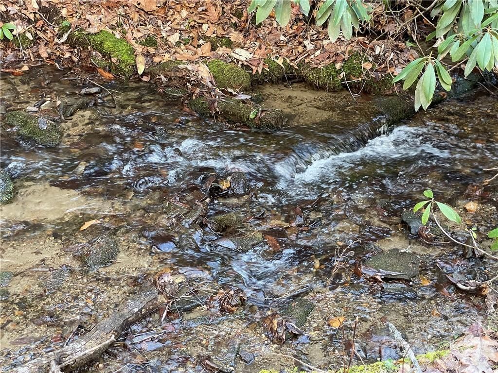 MLS #CAR3935223 image #9