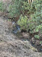 MLS #CAR3935223 image #11