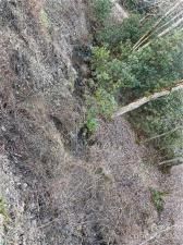 MLS #CAR3935223 image #12