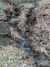 MLS #CAR3935223 image #20