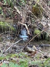 MLS #CAR3935223 image #6