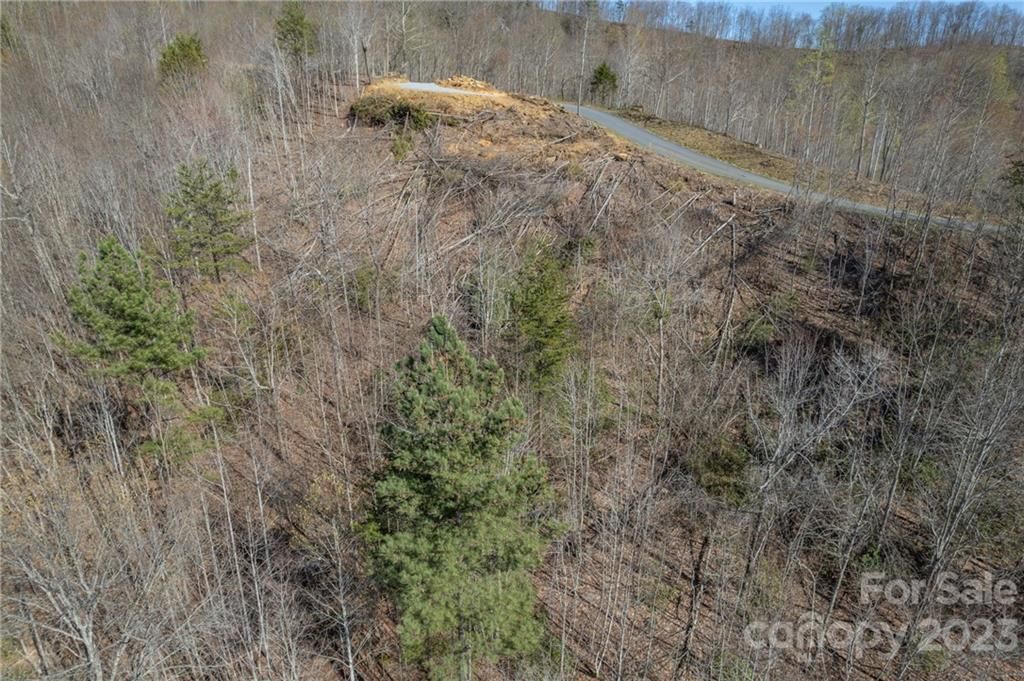 MLS #CAR3936132 image #14