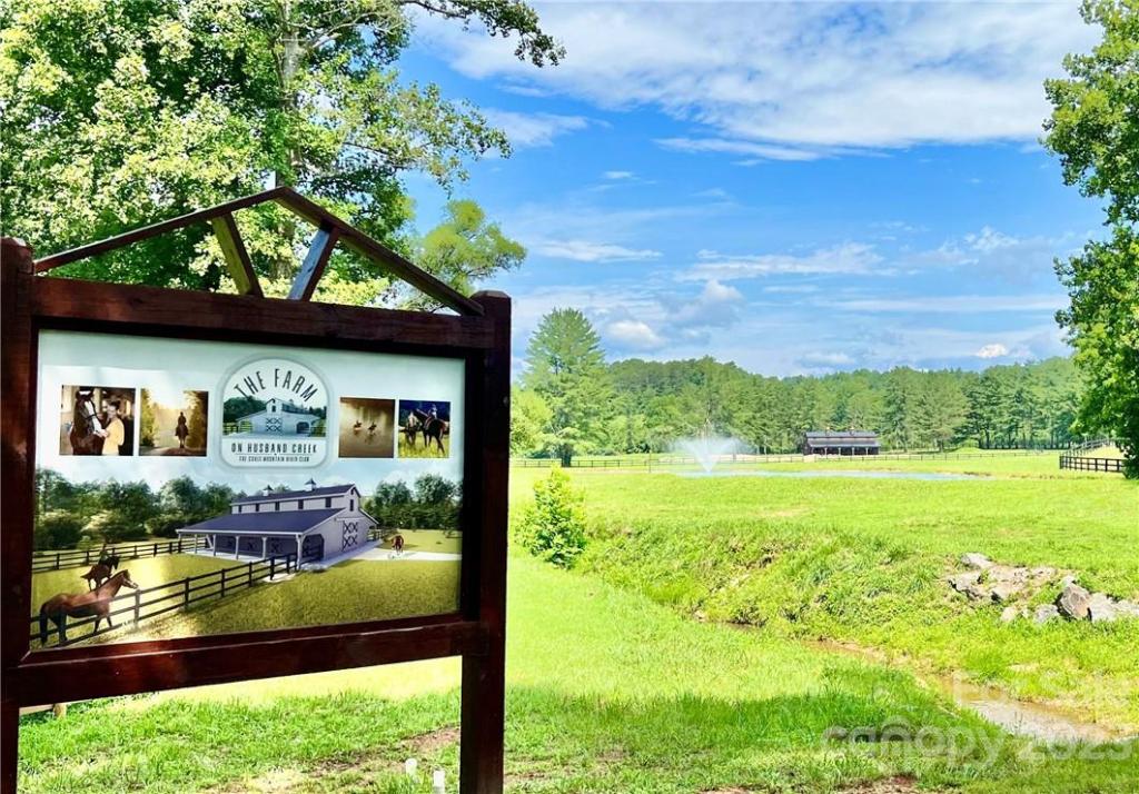 MLS #CAR3937109 image #11