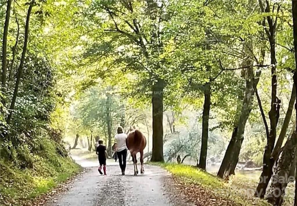 MLS #CAR3937109 image #15