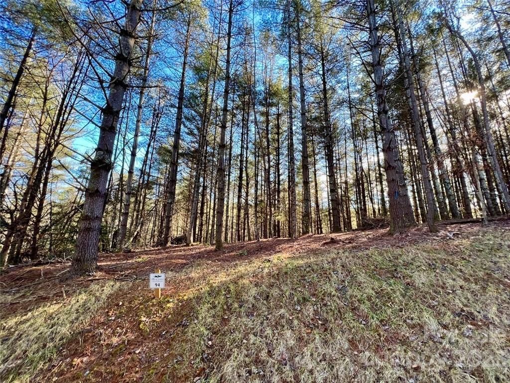 MLS #CAR3937109 image #2