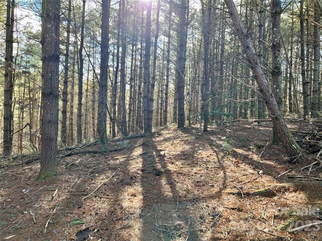 MLS #CAR3937109 image #3