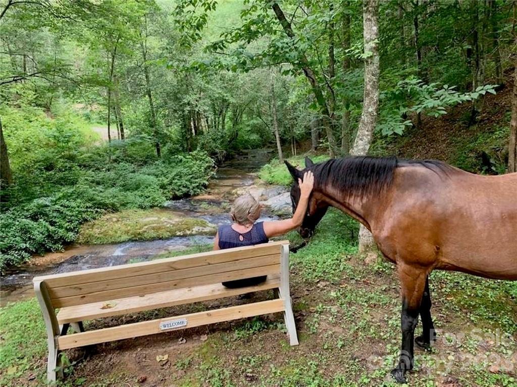 MLS #CAR3937109 image #32