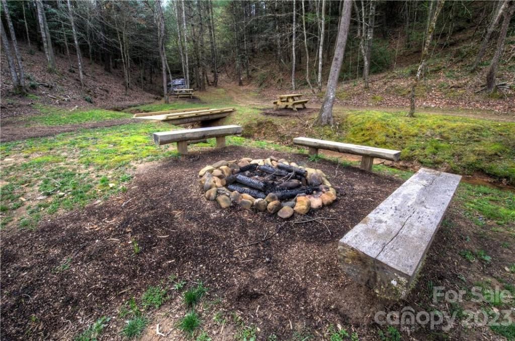 MLS #CAR3937109 image #37