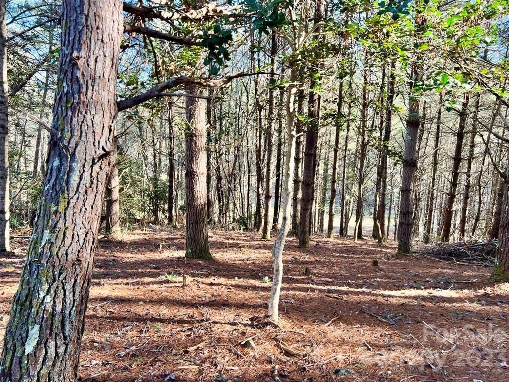 MLS #CAR3937109 image #4