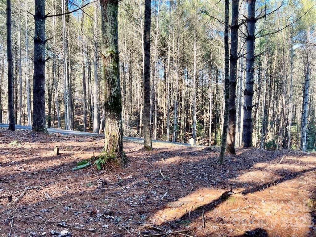 MLS #CAR3937109 image #5