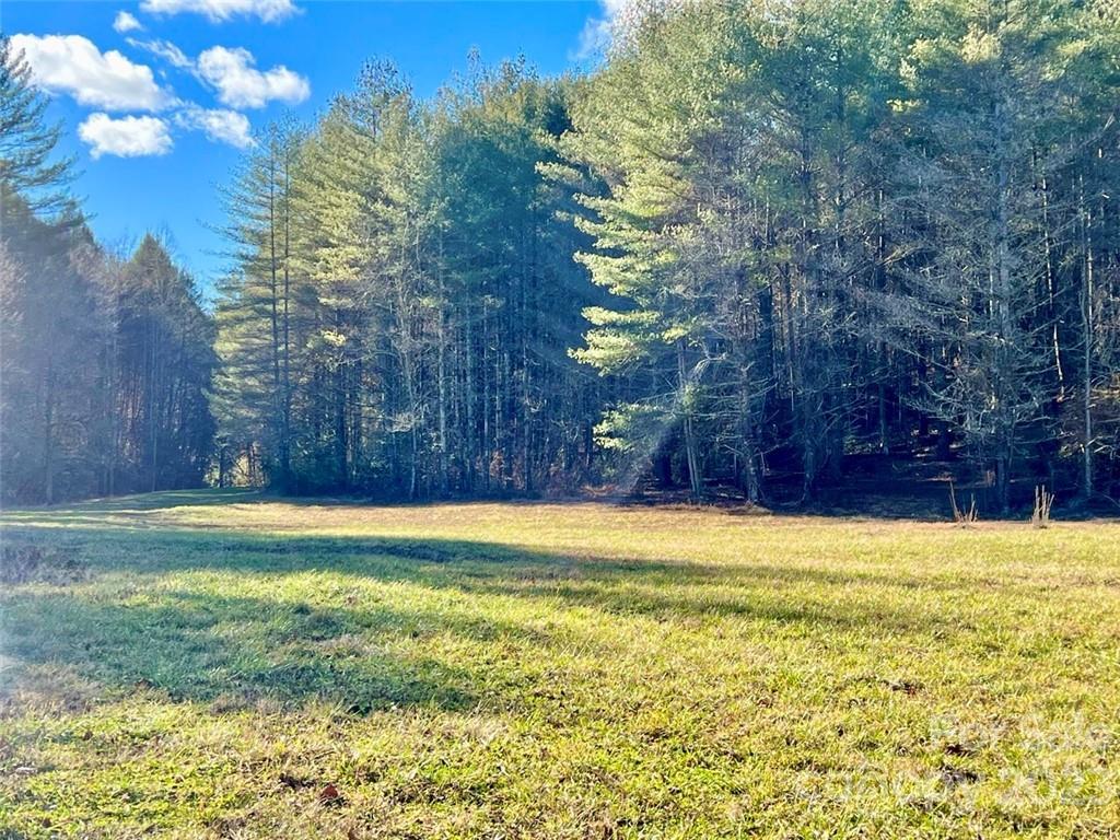 MLS #CAR3937109 image #6