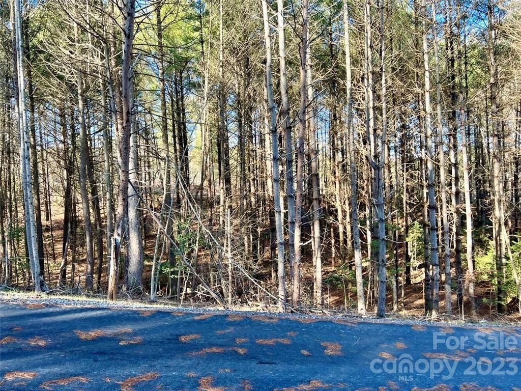 MLS #CAR3937109 image #7