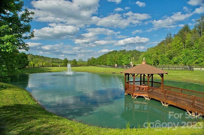 MLS #CAR3937109 image #9