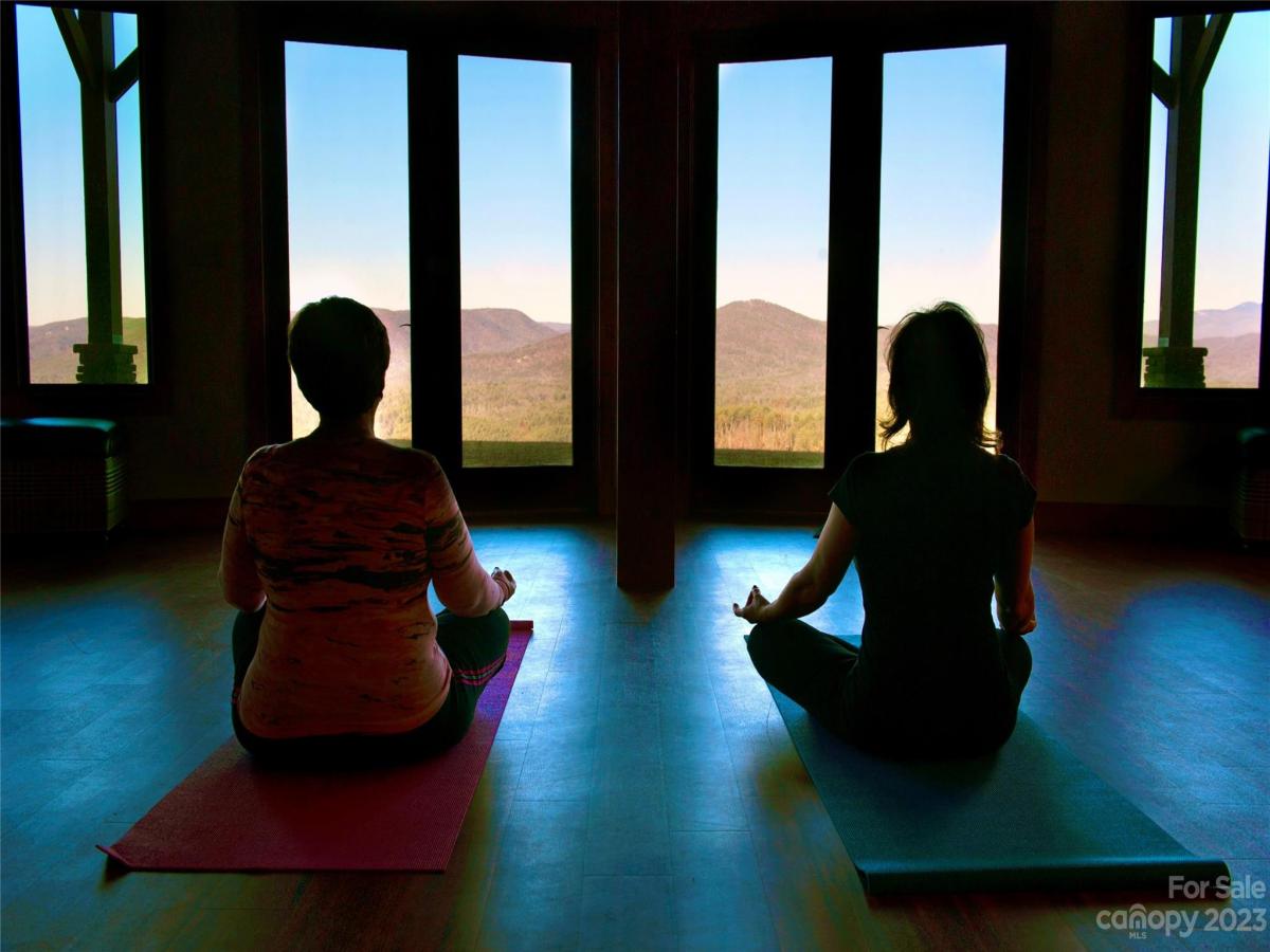 MLS #CAR3940067 image #11