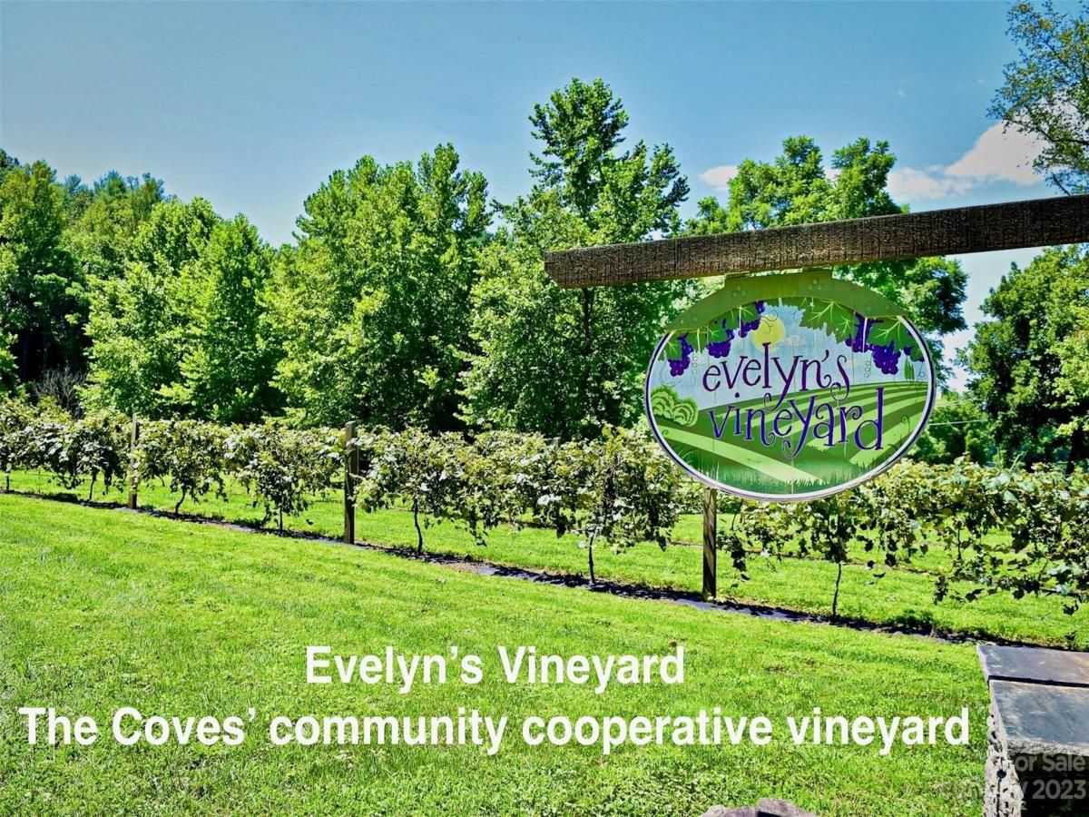 MLS #CAR3940067 image #24