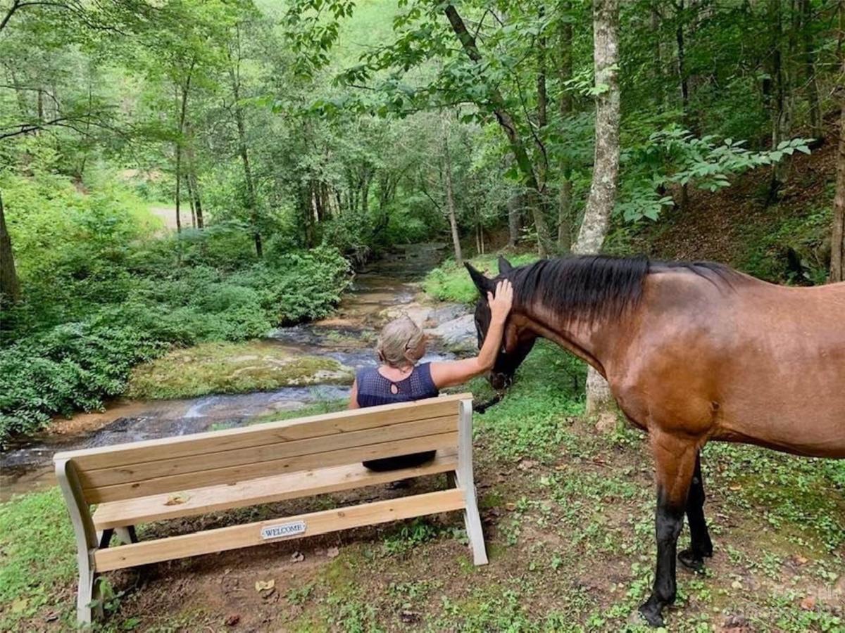 MLS #CAR3940067 image #34