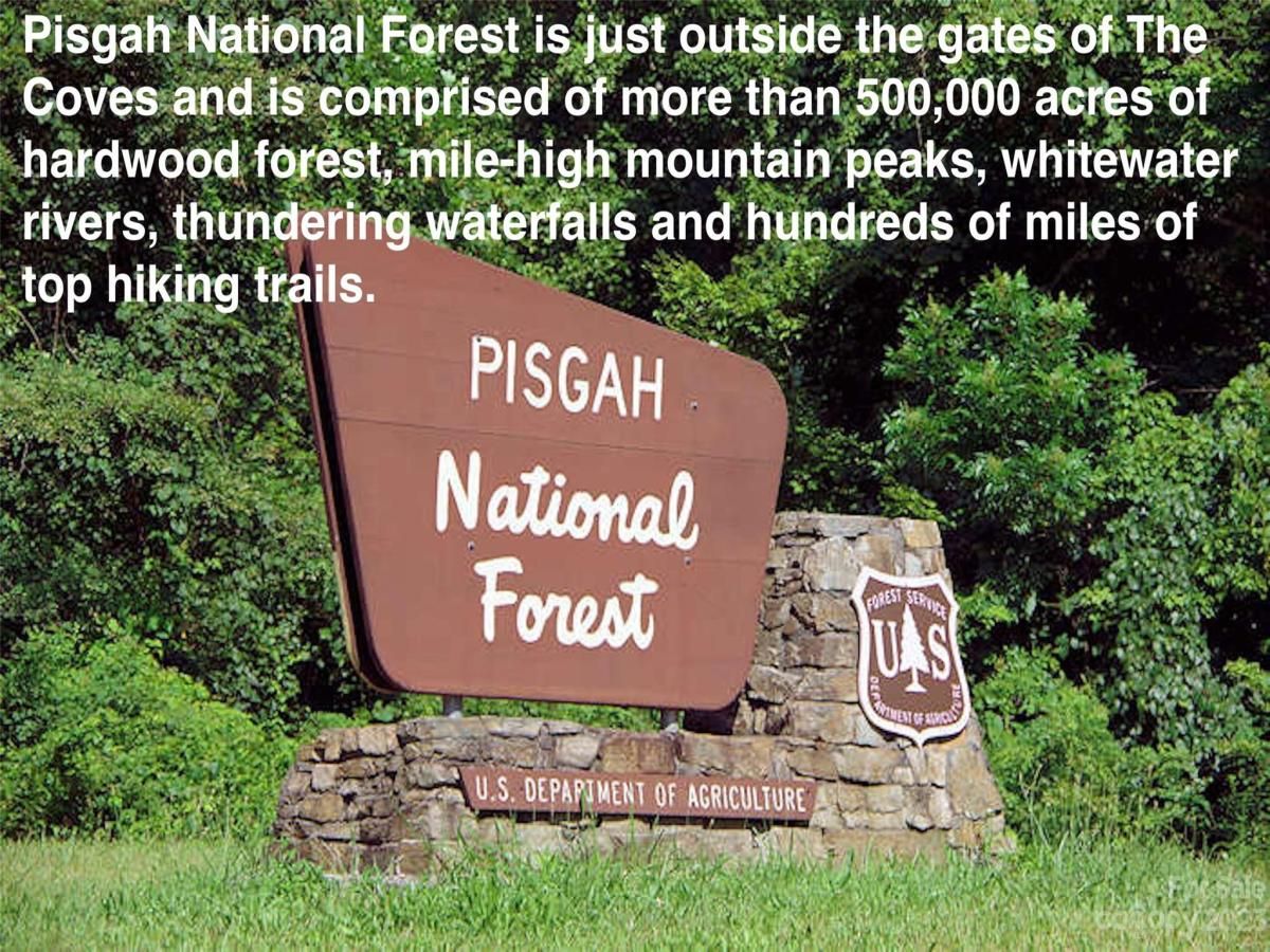 MLS #CAR3940067 image #42