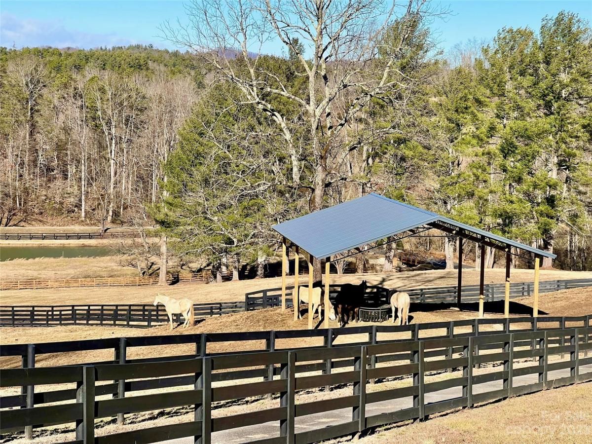 MLS #CAR3940067 image #5