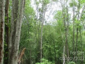 MLS #CAR3940271 image #1