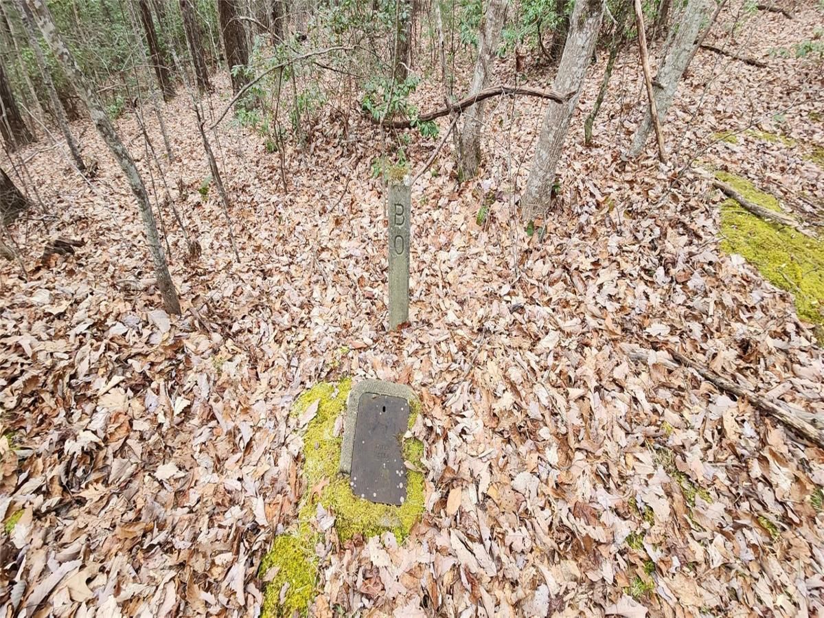 MLS #CAR4001105 image #26