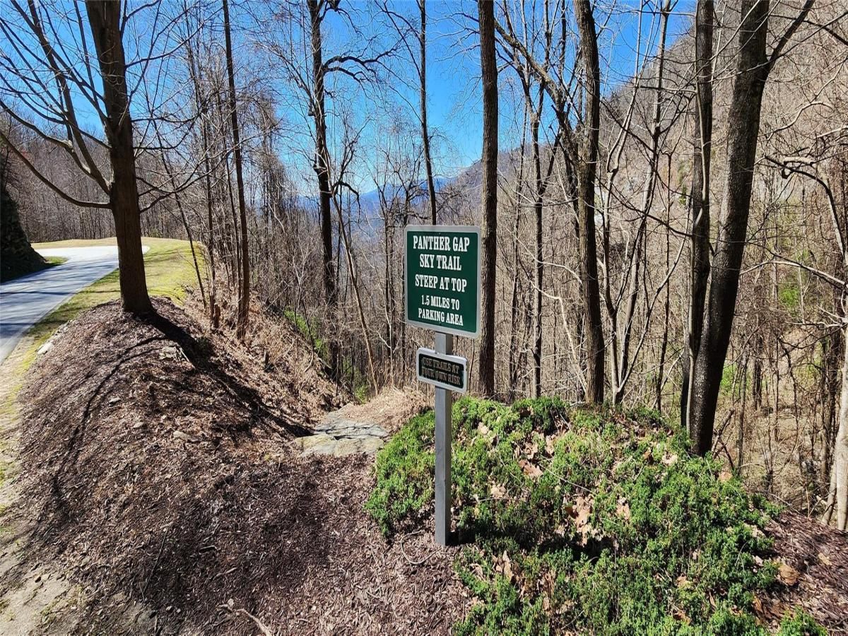 MLS #CAR4001105 image #32